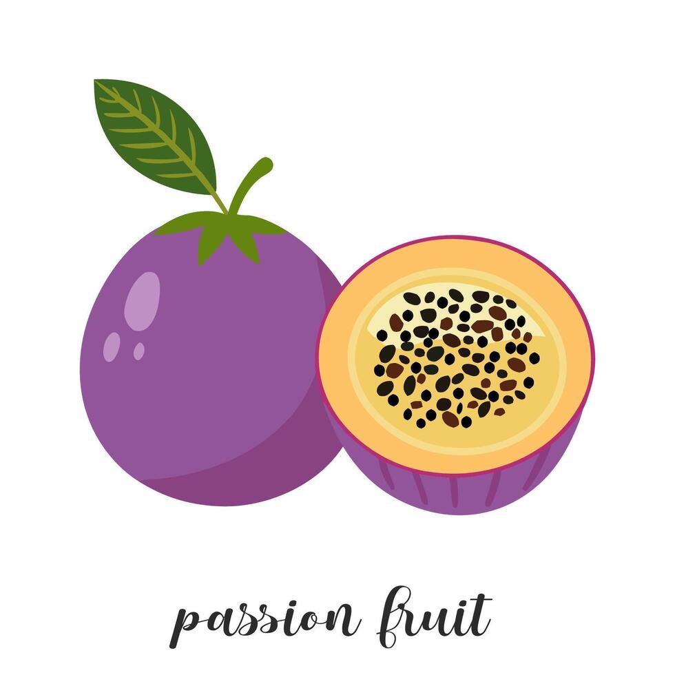 Illustration of passion fruit, isolated on white background. Summer tropical fruit. vector