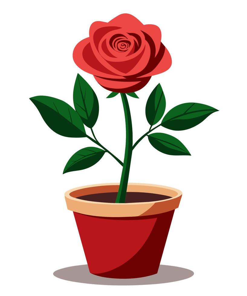 Rose flower. Indoor home plant in a pot. Cartoon style illustration