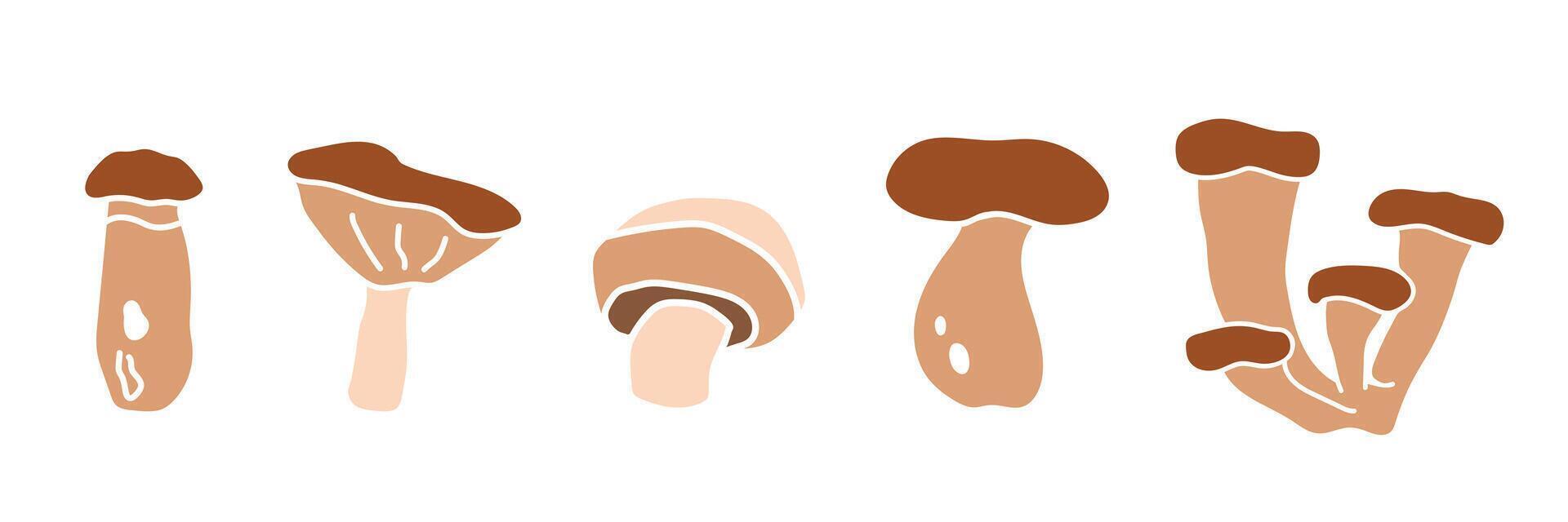 A set of cartoon mushrooms. Hand drawn Illustration of forest mushrooms. Autumn time. illustration vector
