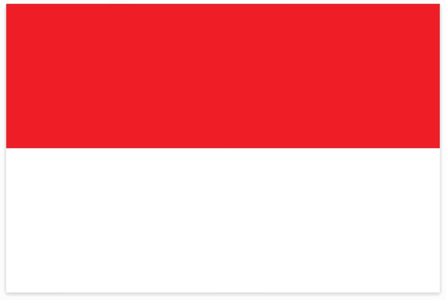 A Illustration of Indonesia flag vector