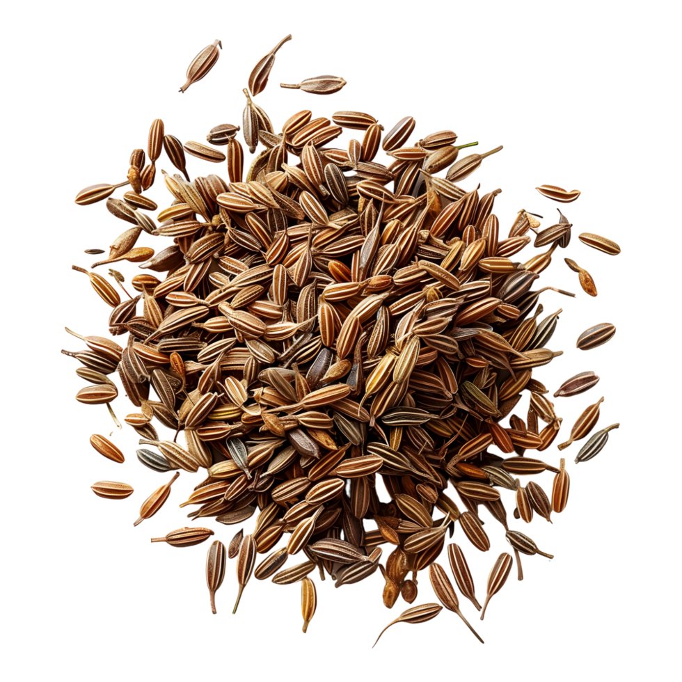 Cumin ontransparent background high resolution 8K png