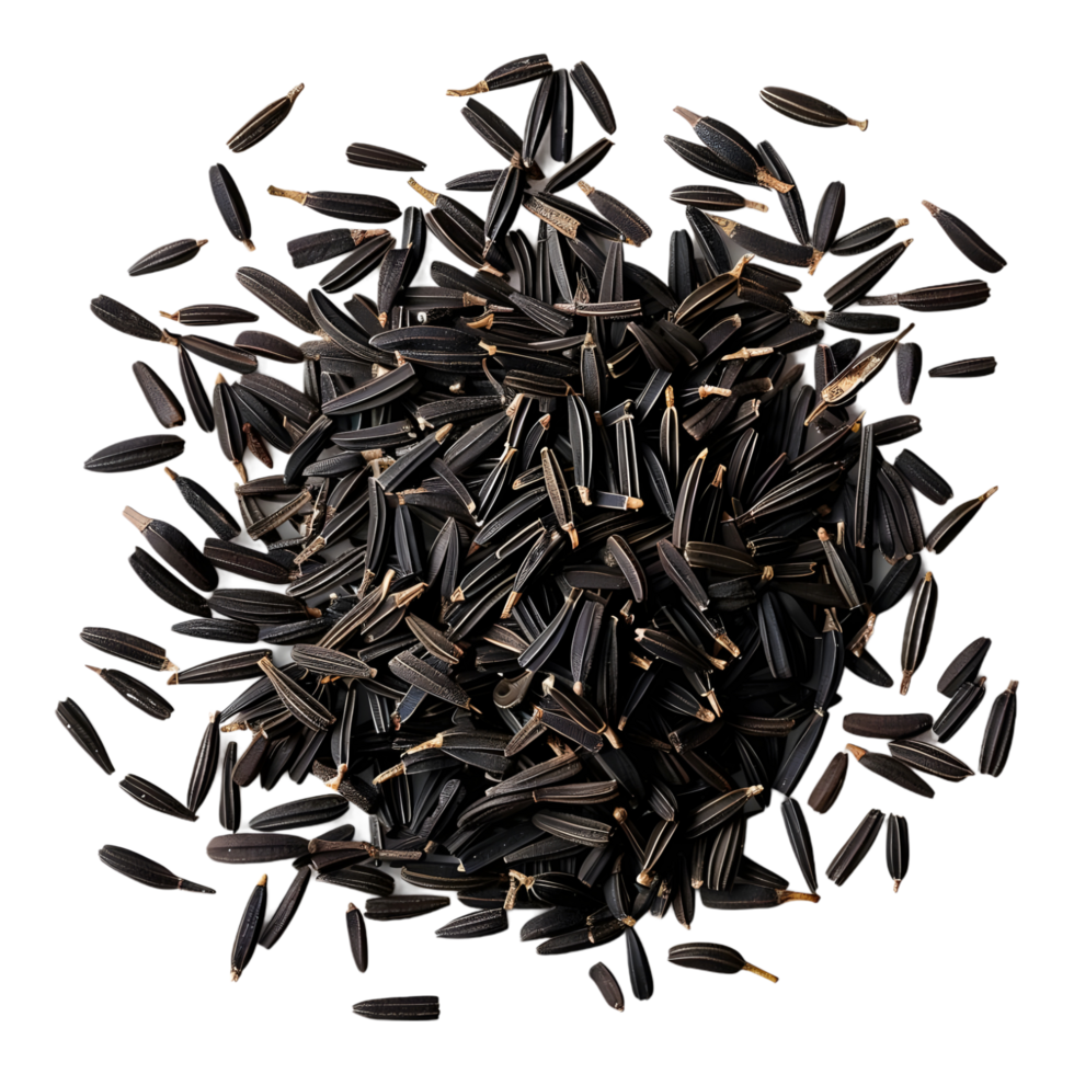 Cumin ontransparent background high resolution 8K png