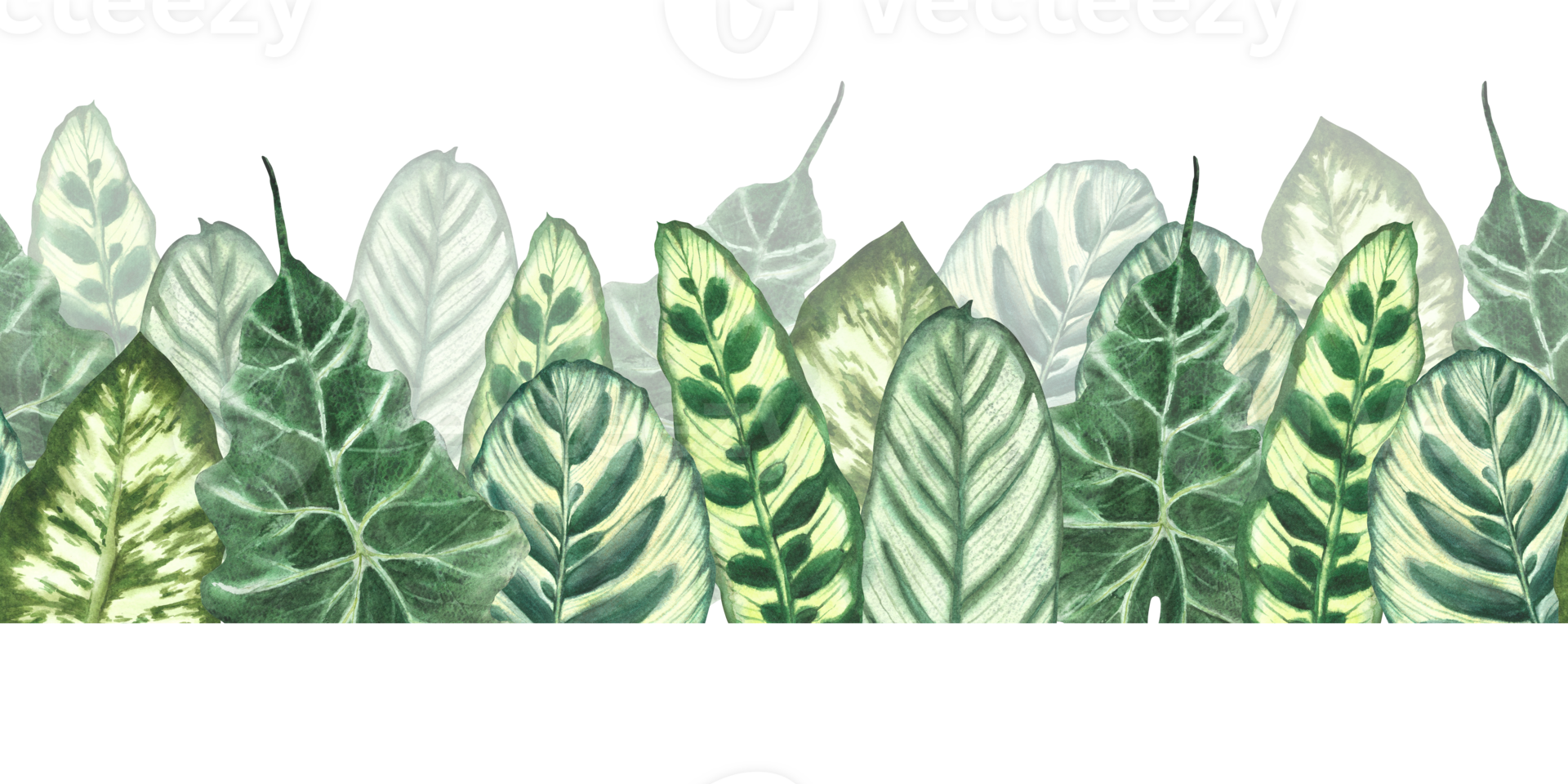 Tropical leaves watercolor seamless border. Jungle plants. Summer green realistic plant leaf, foliage. Hawaiian horizontal repeat flat pattern. Hand drawn illustration. Clipart on isolated background png