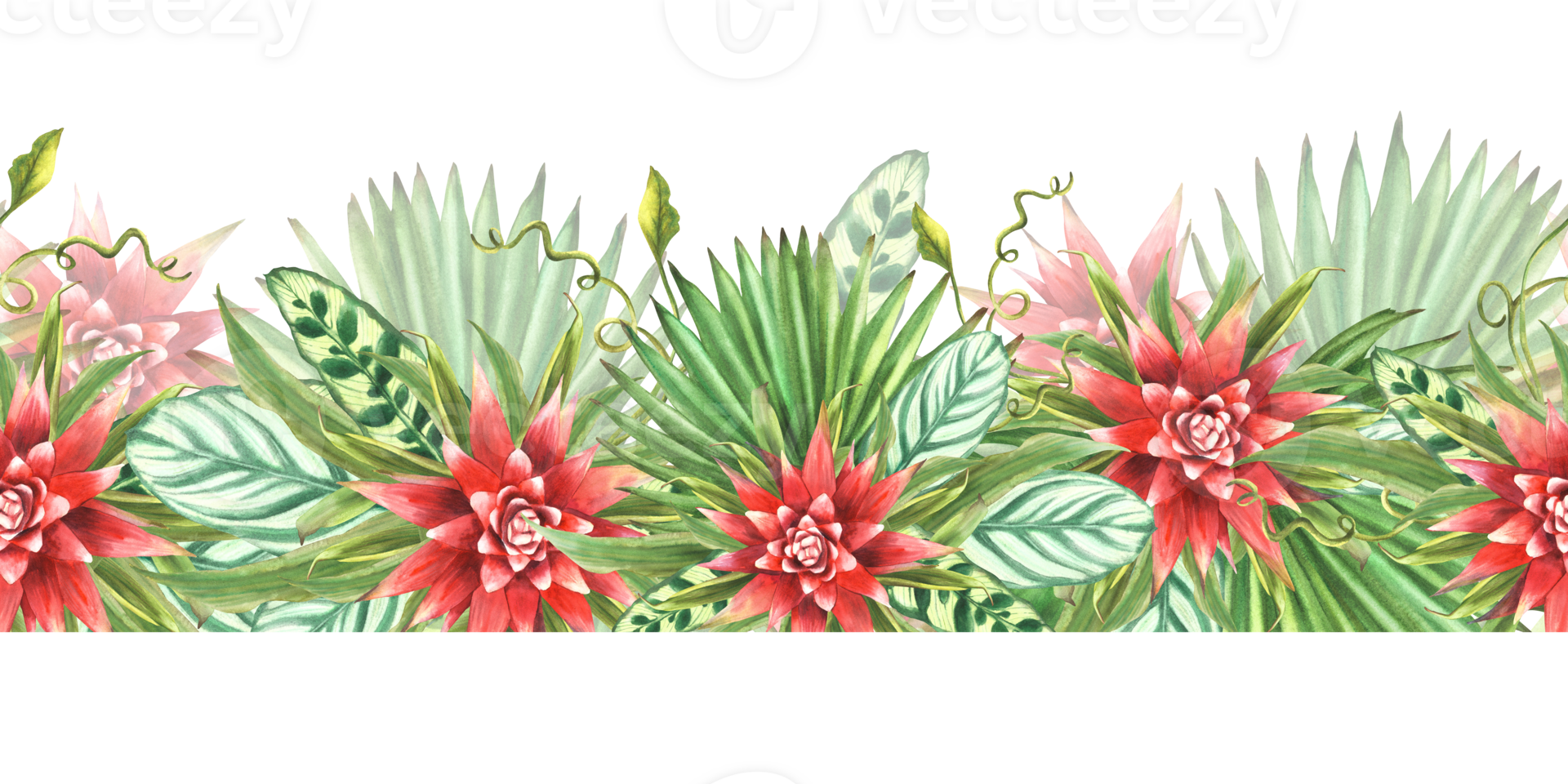Tropical leaves with red flowers, palm leaf, curly creeper, home plant greenery. Watercolor Seamless border, pattern. Exotic Hawaiian jungle floral clipart Painted illustration on isolated background png