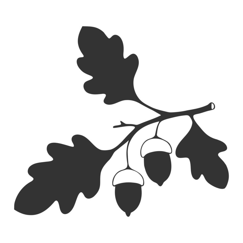 Oak branch with leaves and acorns silhouette drawing. vector