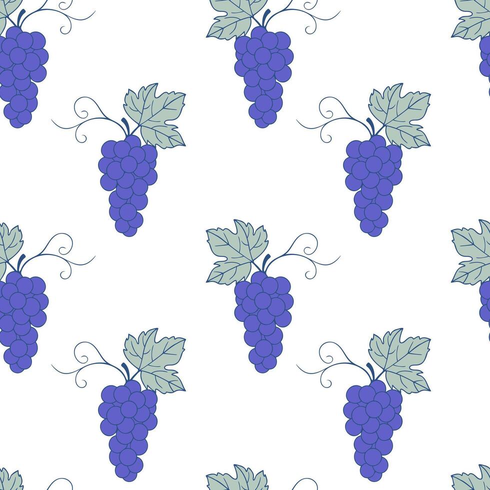 Grape seamless pattern on white background, contour doodle blue drawing of grape berries and leaves. vector