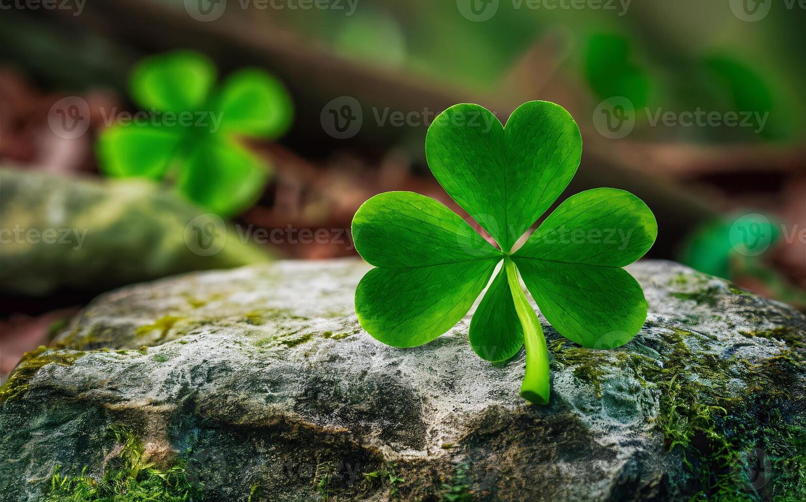 Shamrock background , Saint Patrick photo