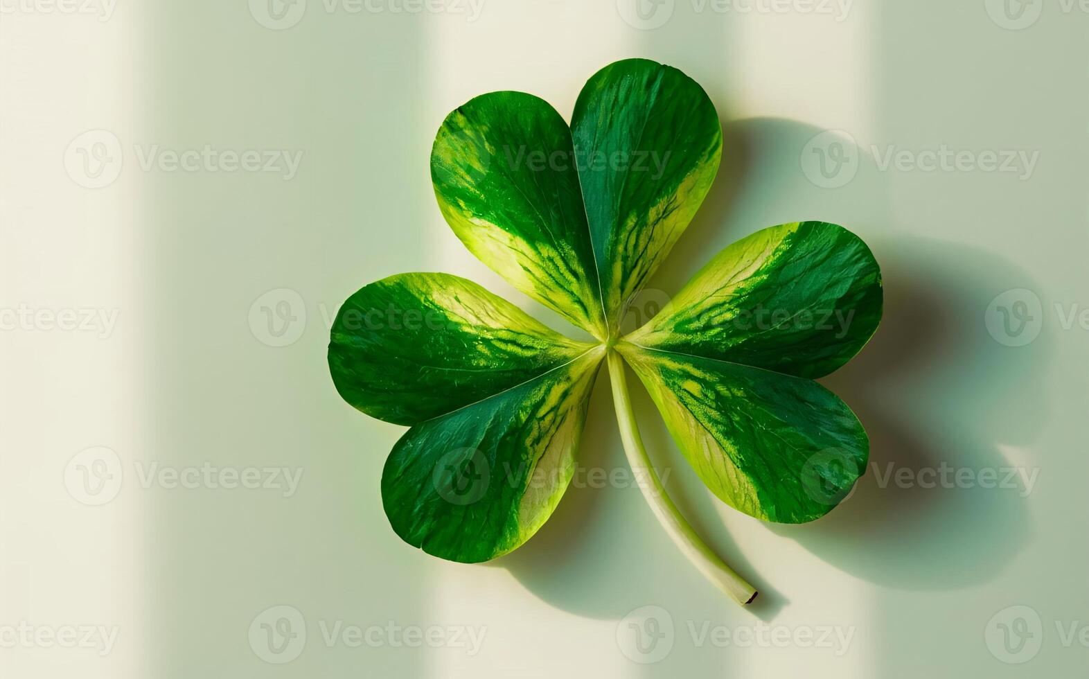 Shamrock background , Saint Patrick photo