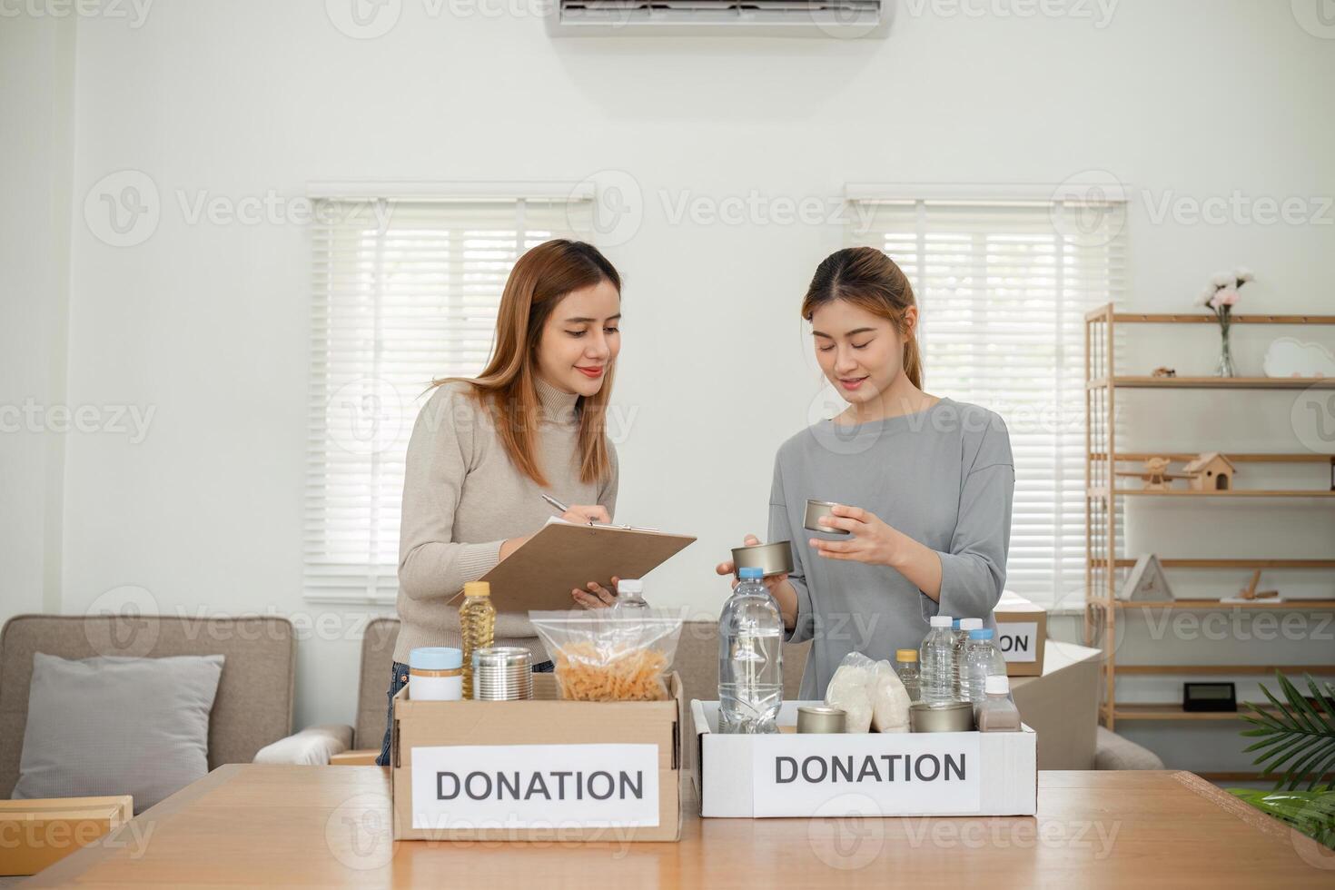 LGBT Lesbian Couple Preparing Items for Donation at Home, Sorting and Packing Clothes and Household Goods for Charity photo