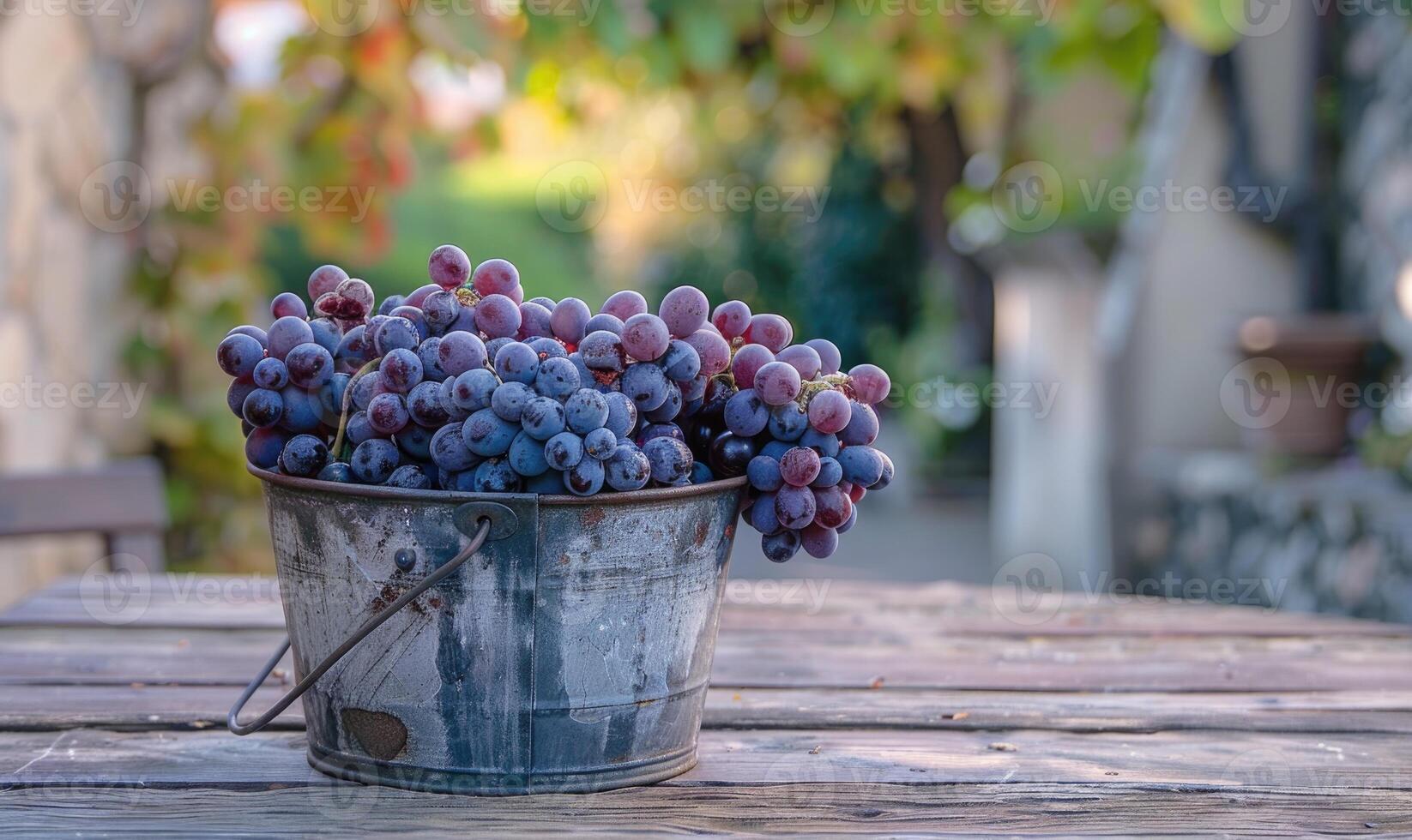 Grapes in a vintage metal bucket on a roadside table photo