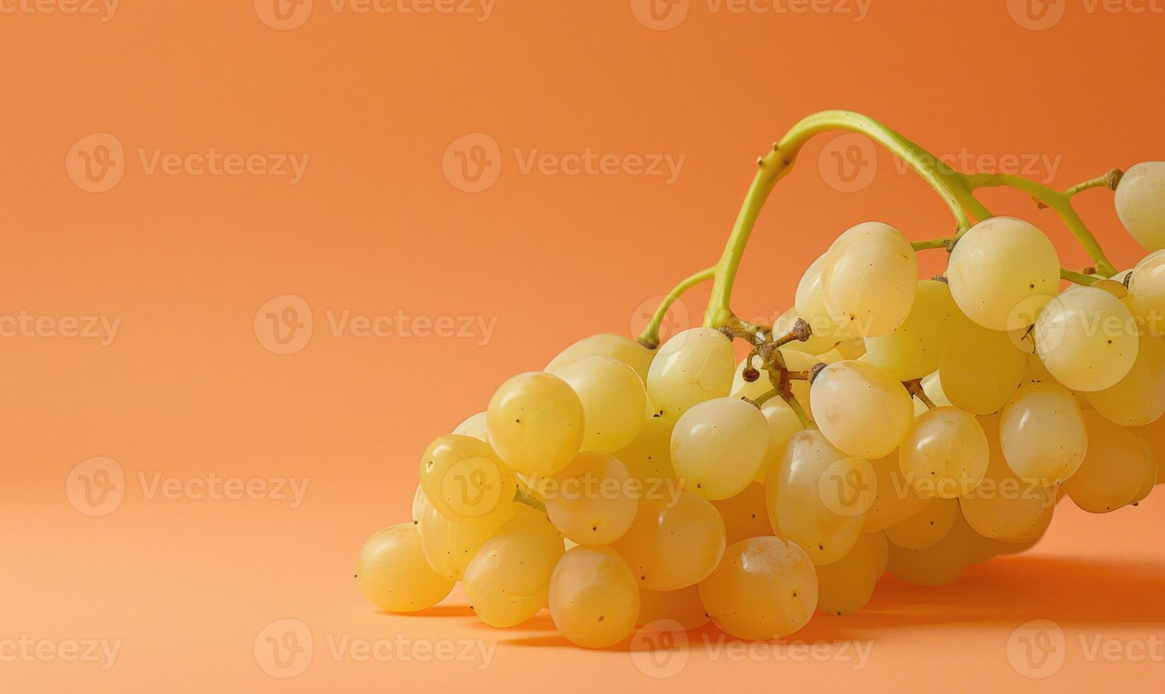 Grapes on a light pastel coral background photo
