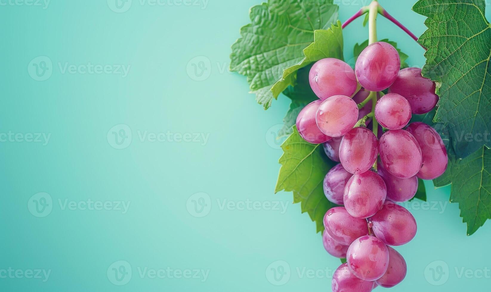 Grapes on a pastel mint background photo