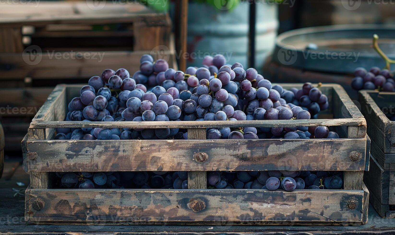 Grapes displayed in a rustic wooden crate at a roadside stand photo