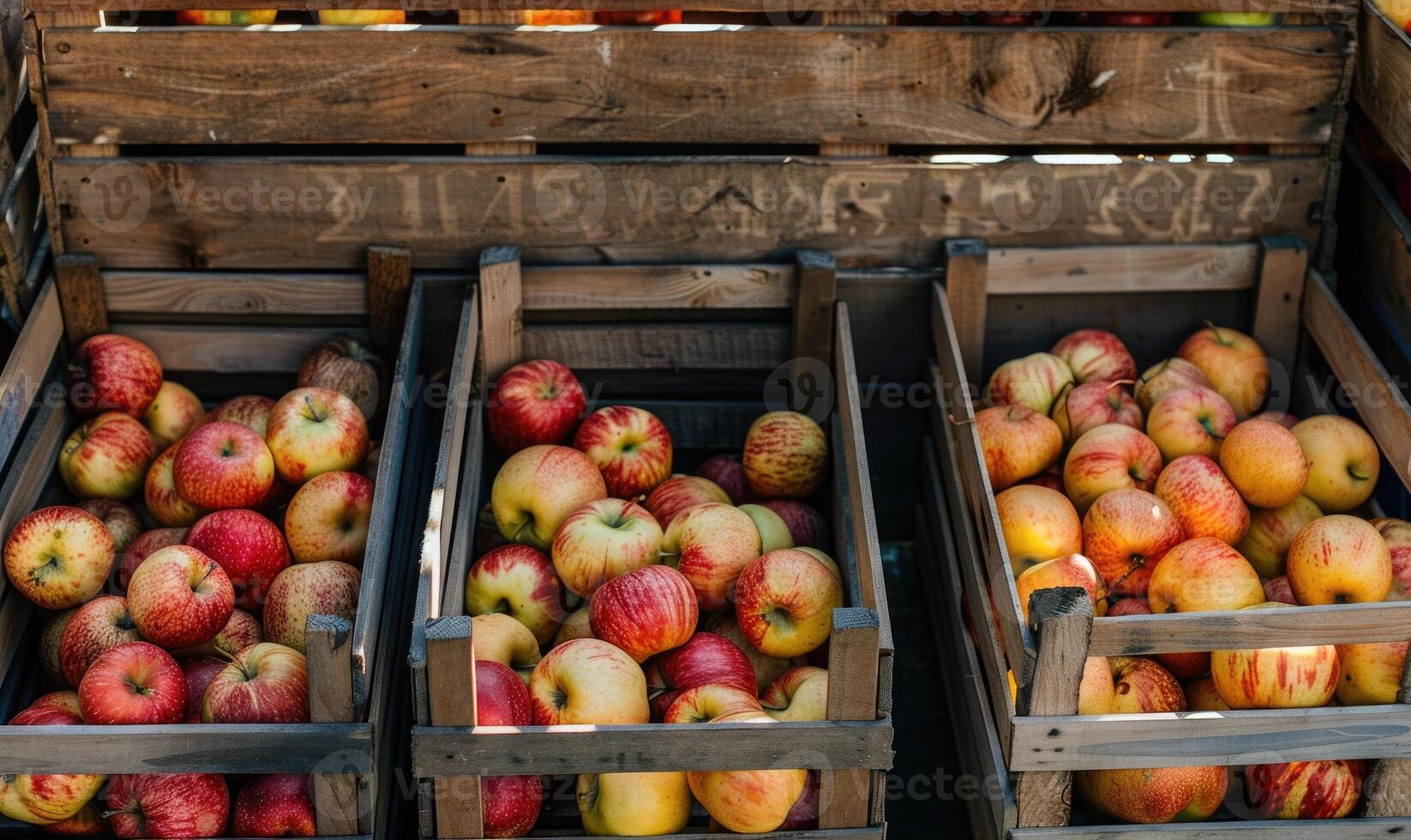 Display of assorted apples in wooden crates at a farmer's market photo