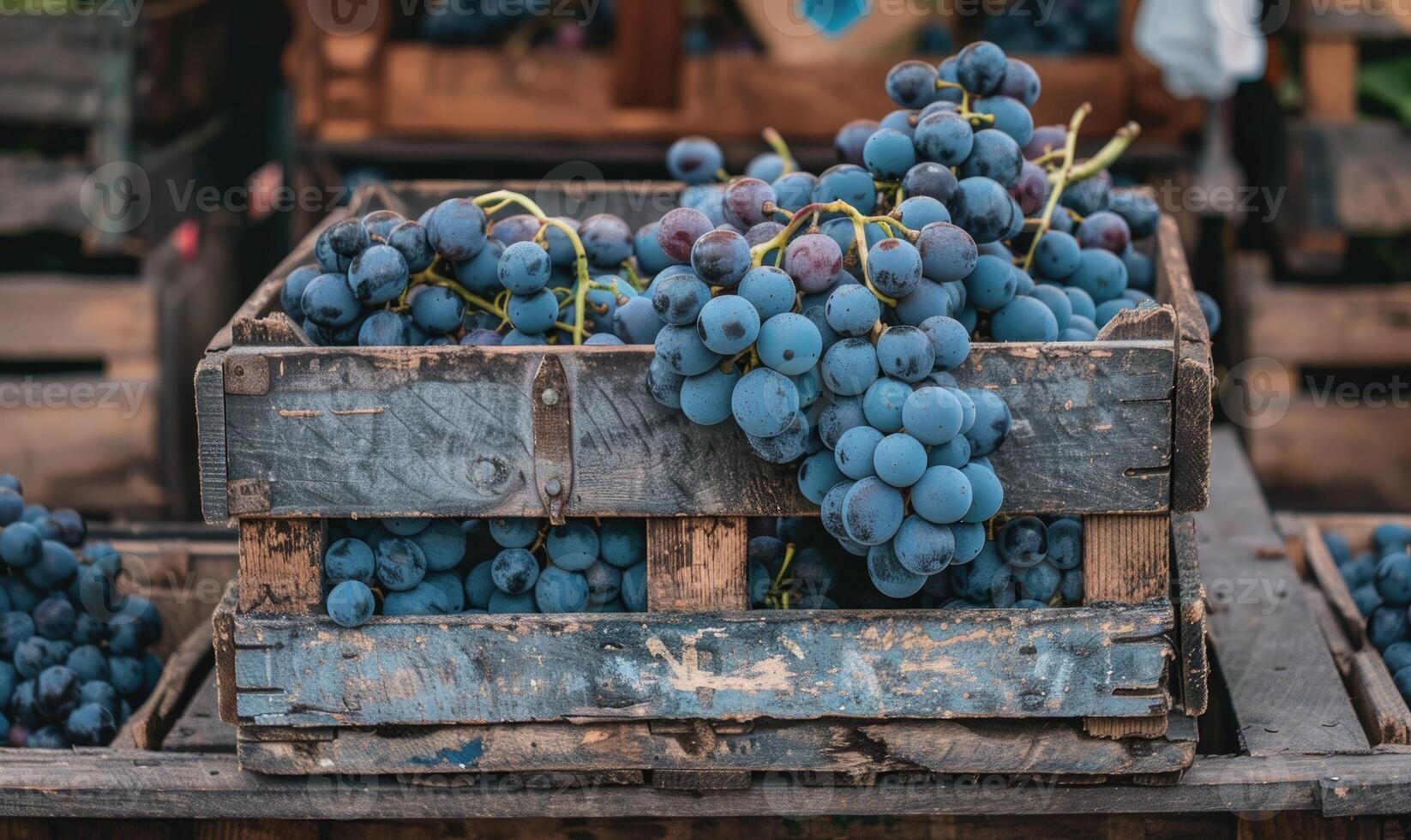Grapes in a rustic box on a countryside market table photo
