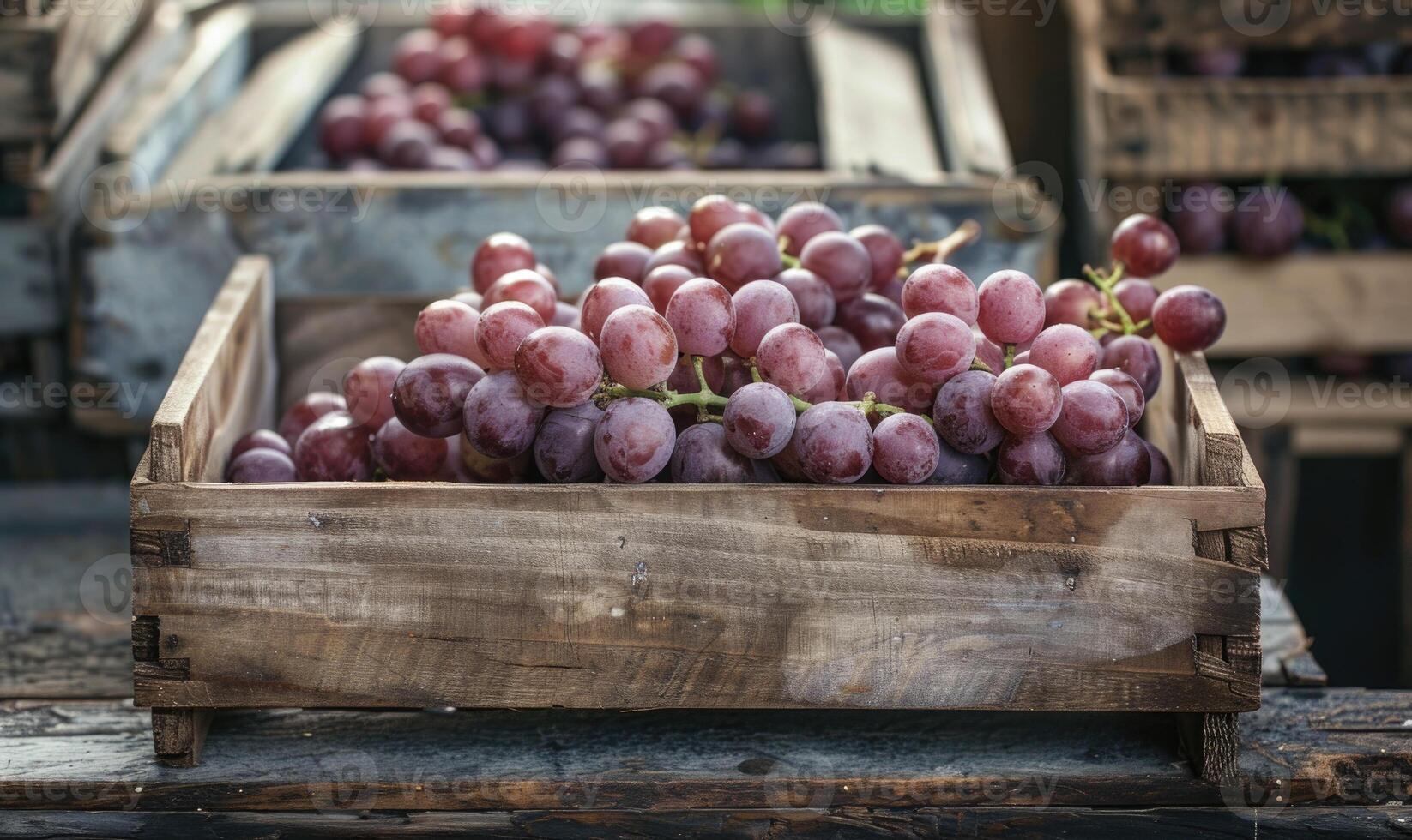 Grapes in a rustic box on a countryside market table photo