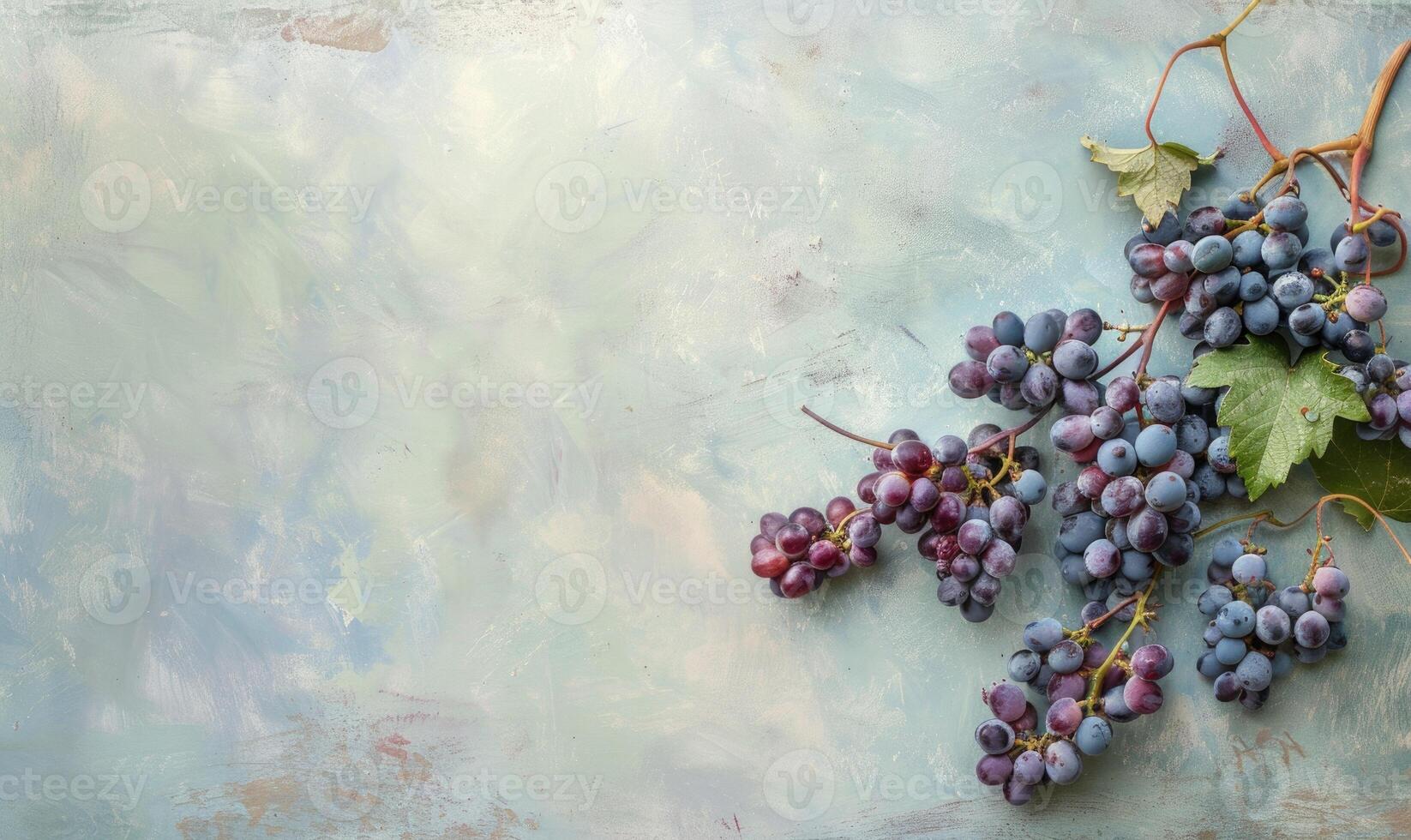 Grapes on a light pastel olive background photo
