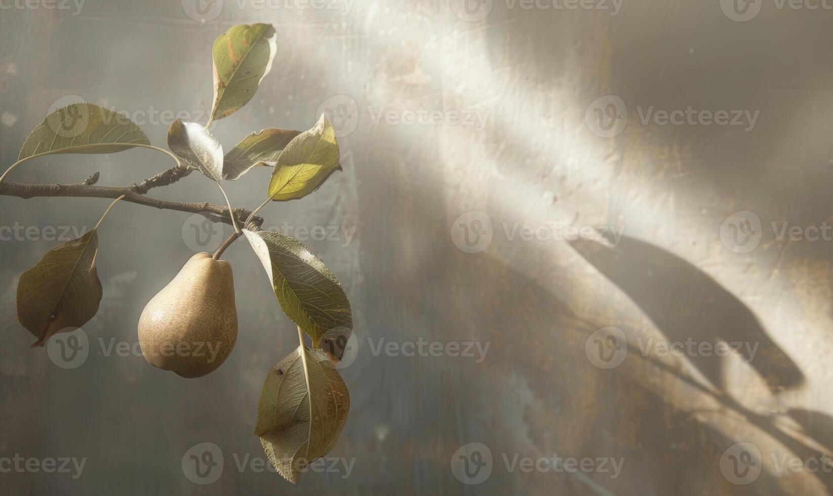 Pear on a branch with delicate sun rays photo