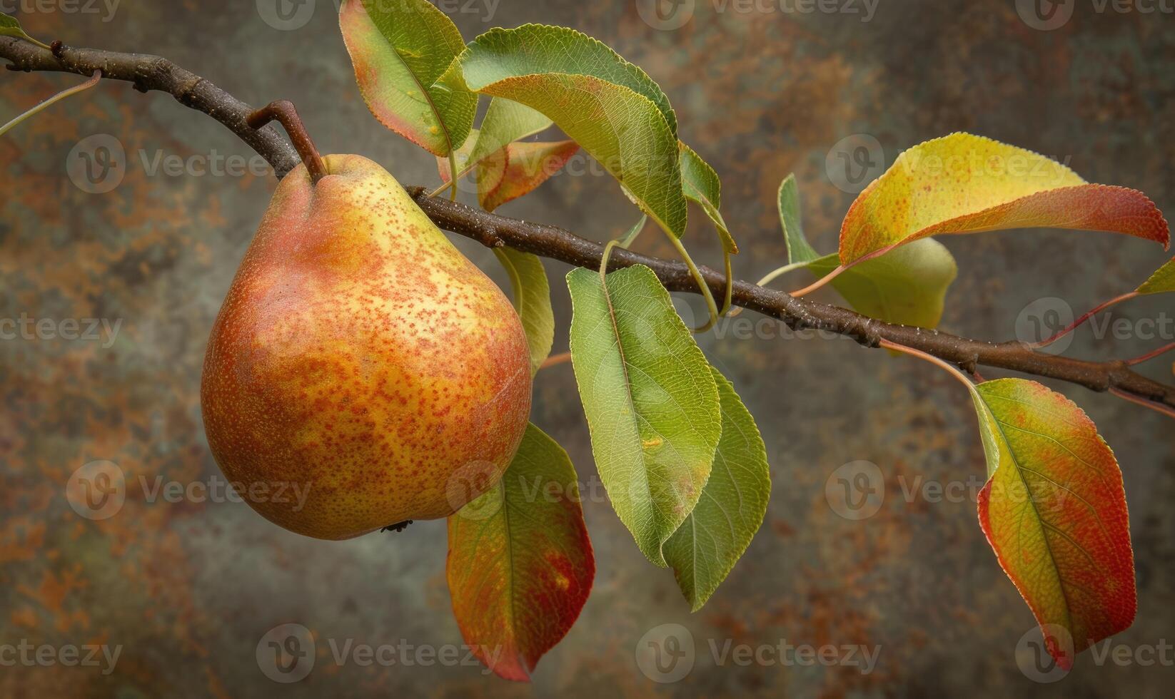 Pear with a red blush, hanging from a branch with green leaves photo