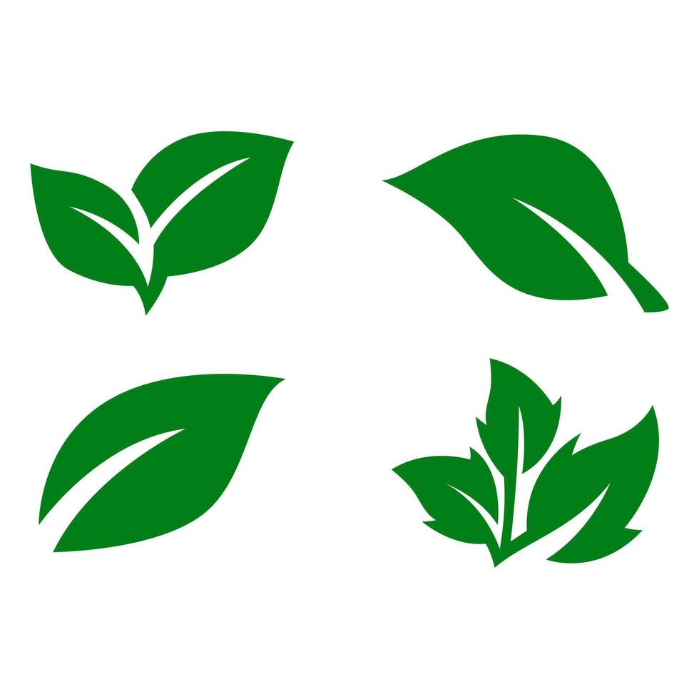 Green leaf icons set. Leaves icon on isolated background. vector