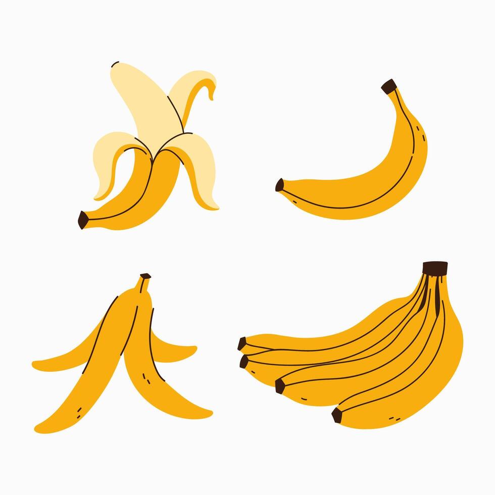 Set of bananas, peeled banana, bunch of bananas. graphics. vector