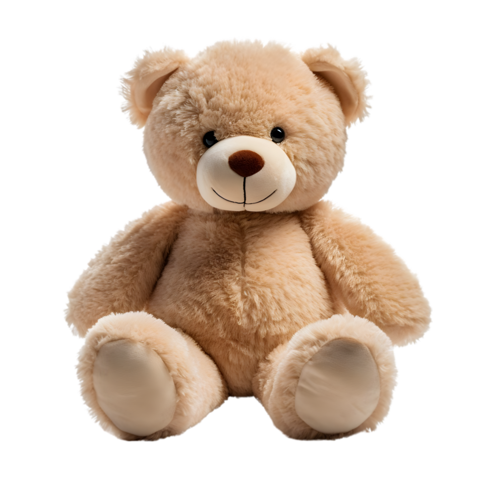 Teddy bear on transparent background png