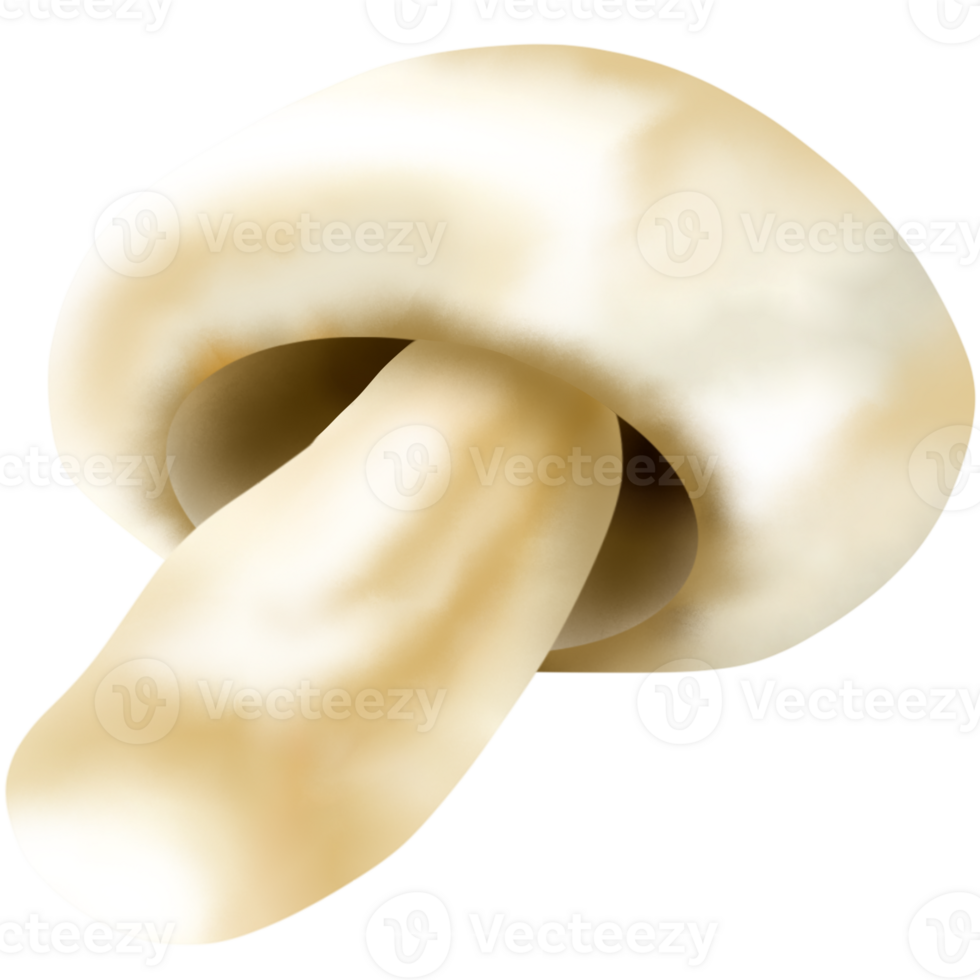 Button mushrooms are the immature png