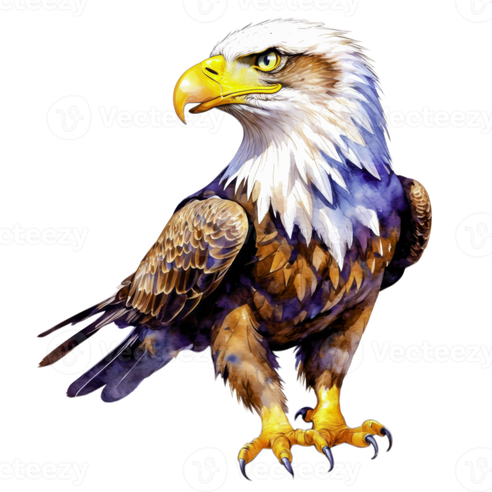 Colorful illustration of a hawk with yellow eyes and sharp talons. png