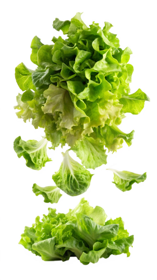 Flying Lettuces Vegetable Clip png