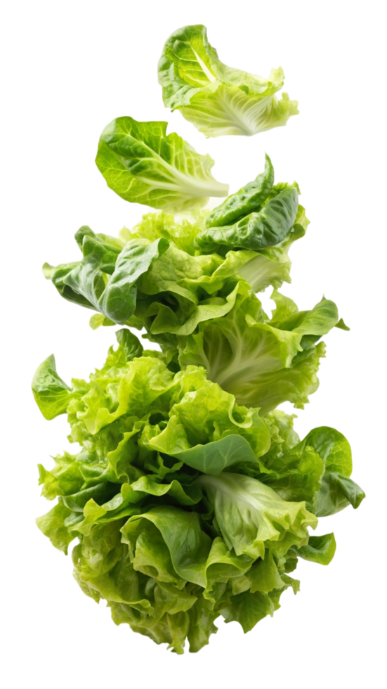 Flying Lettuces Vegetable Render png