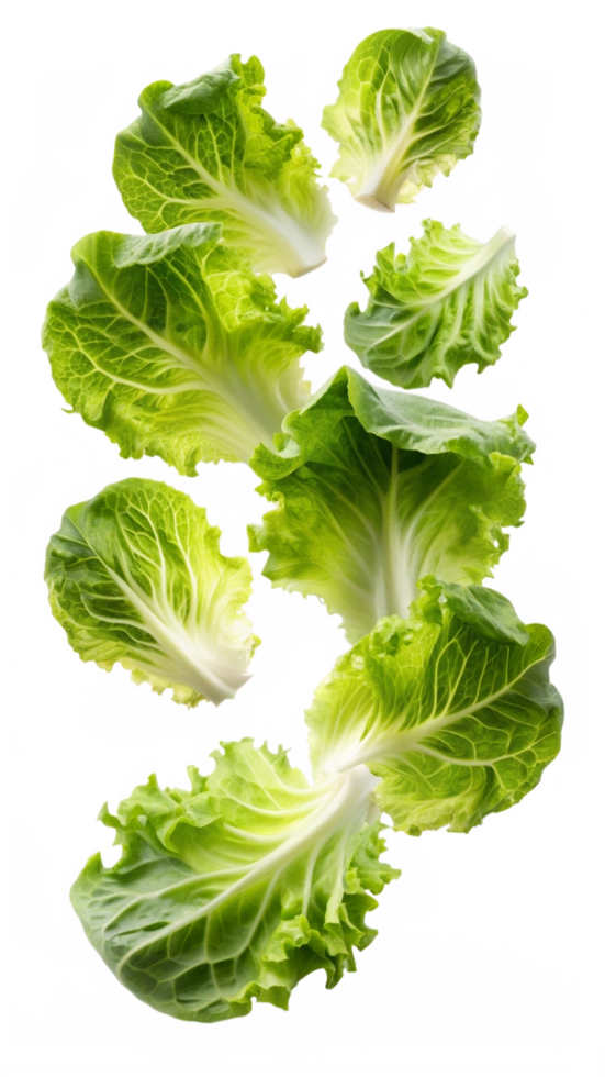 Flying Lettuces Vegetable Object png