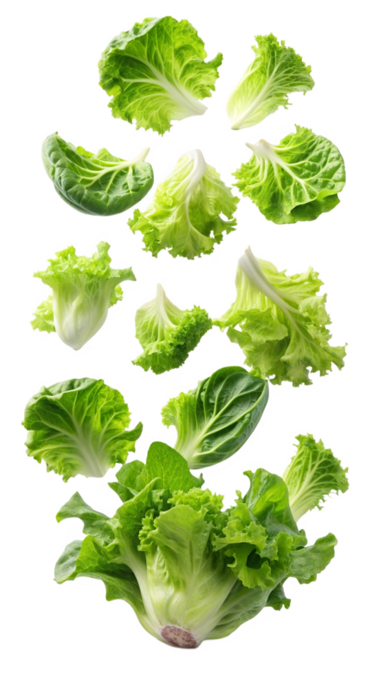 Flying Lettuces Vegetable Graphic png