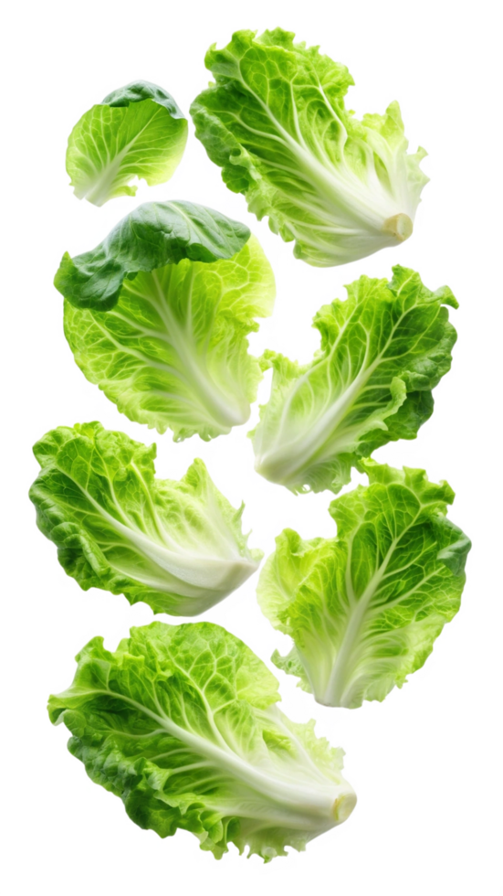 Flying Lettuces Vegetable Image png