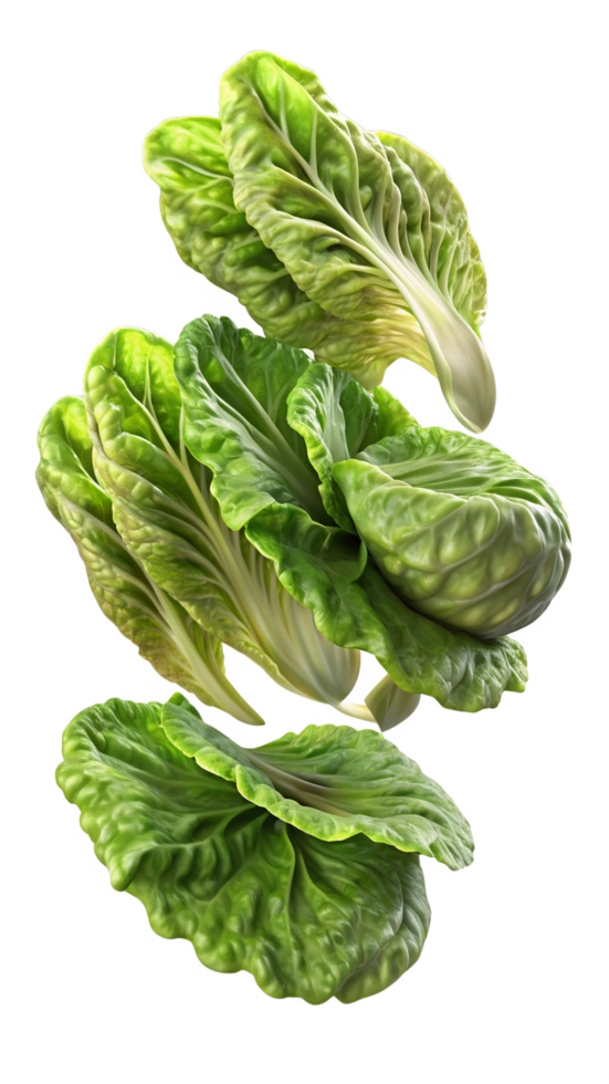 Flying Lettuces Vegetable 3d Render png