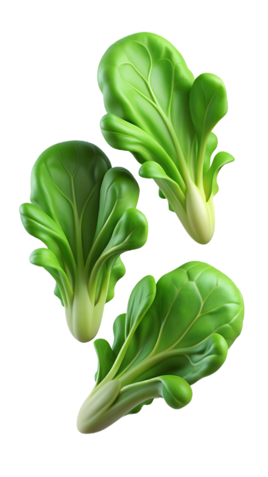 Flying Lettuces 3d Asset png
