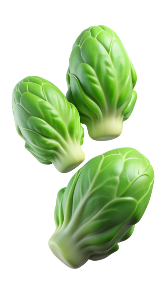 Flying Lettuces 3d Item png