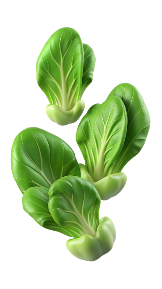 Flying Lettuces 3d Graphic png