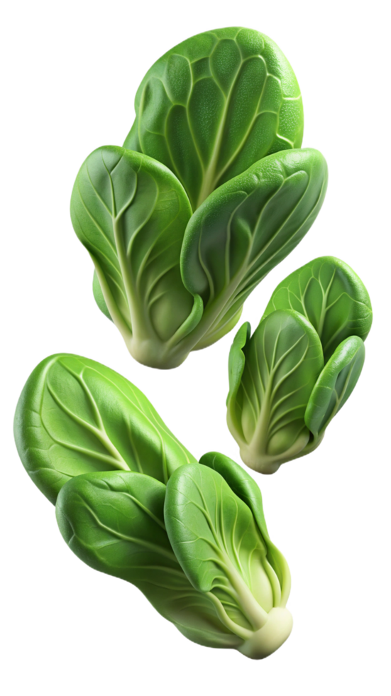 Flying Lettuces 3d Design png