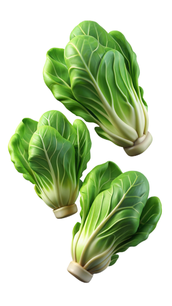 Flying Lettuces 3d Image png