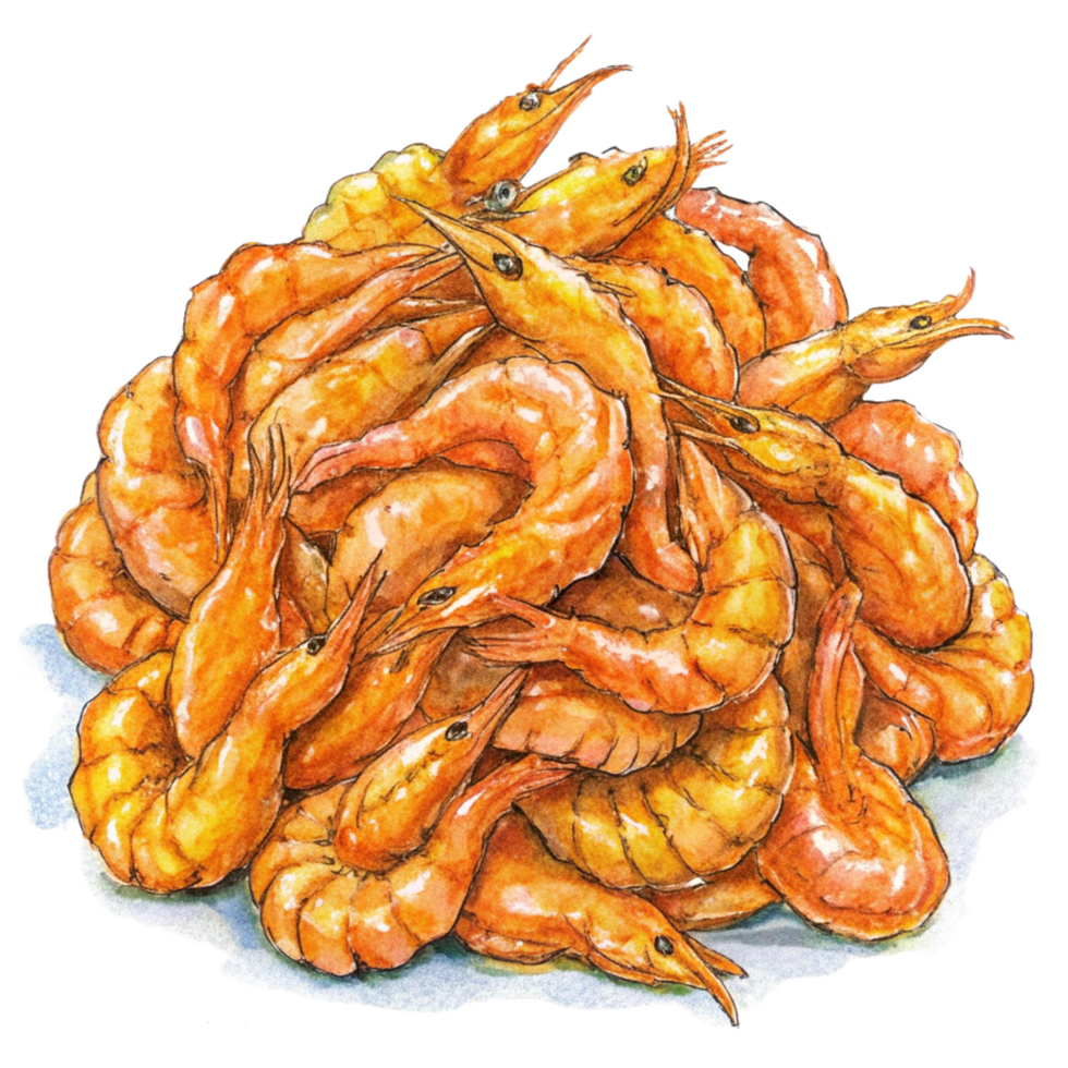 Heap of Fried Shrimps Hand Drawn Art png
