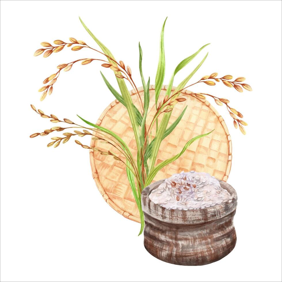 Rice grains in a hessian bag composition. Rice plant leaves and a traditional handmade husking tray. Hand drawn watercolor illustration isolated from background. For crops product labels and packaging vector