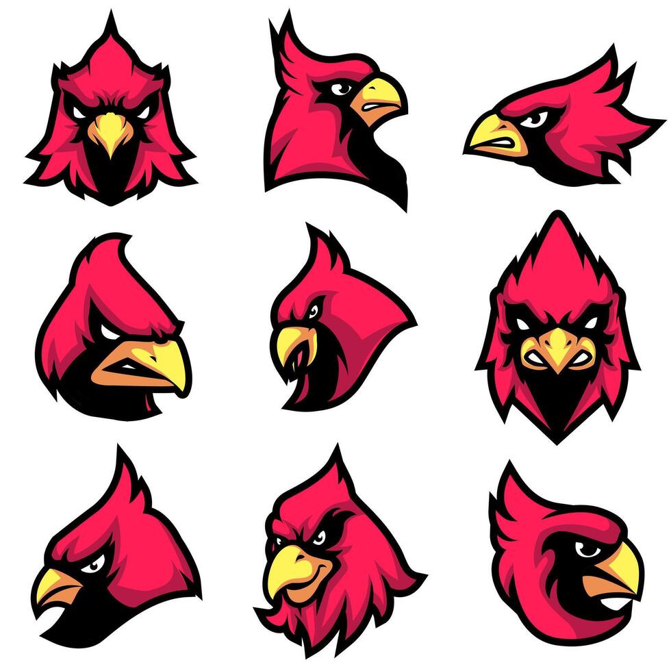 Cardinal head Mascot Logo Bundle vector