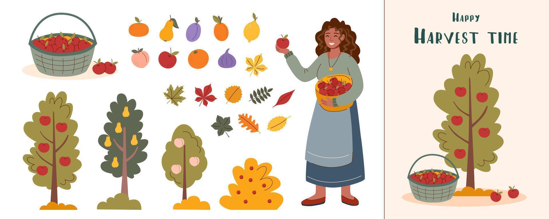 Autumn card. Autumn, harvest and Thanksgiving concept. Autumn elements set. Collection of trees, fruits and leaves isolated on white. The woman picking apples. vector