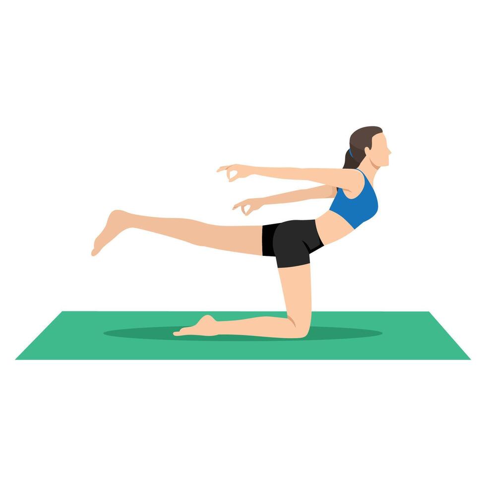 Woman doing Balancing Cow Pose or Balancing Bitilasana yoga exercise. vector