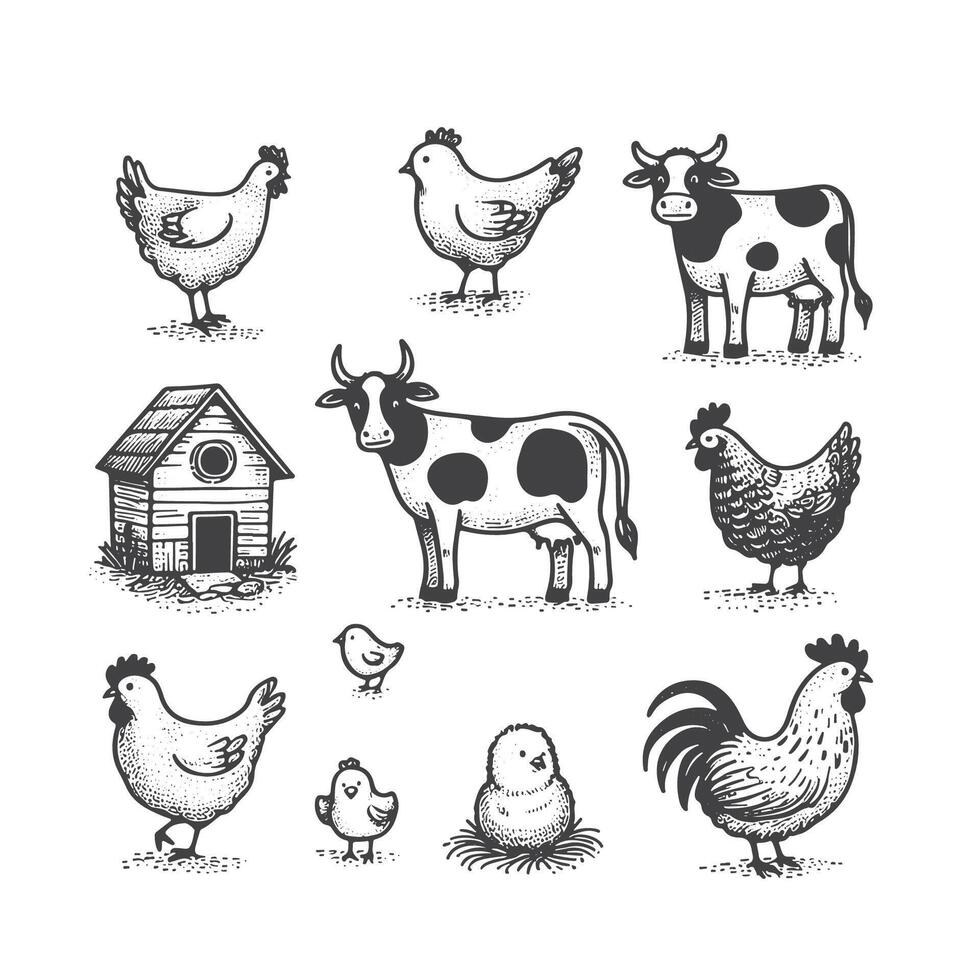 Hand Drawn Farm Animals Illustrations vector