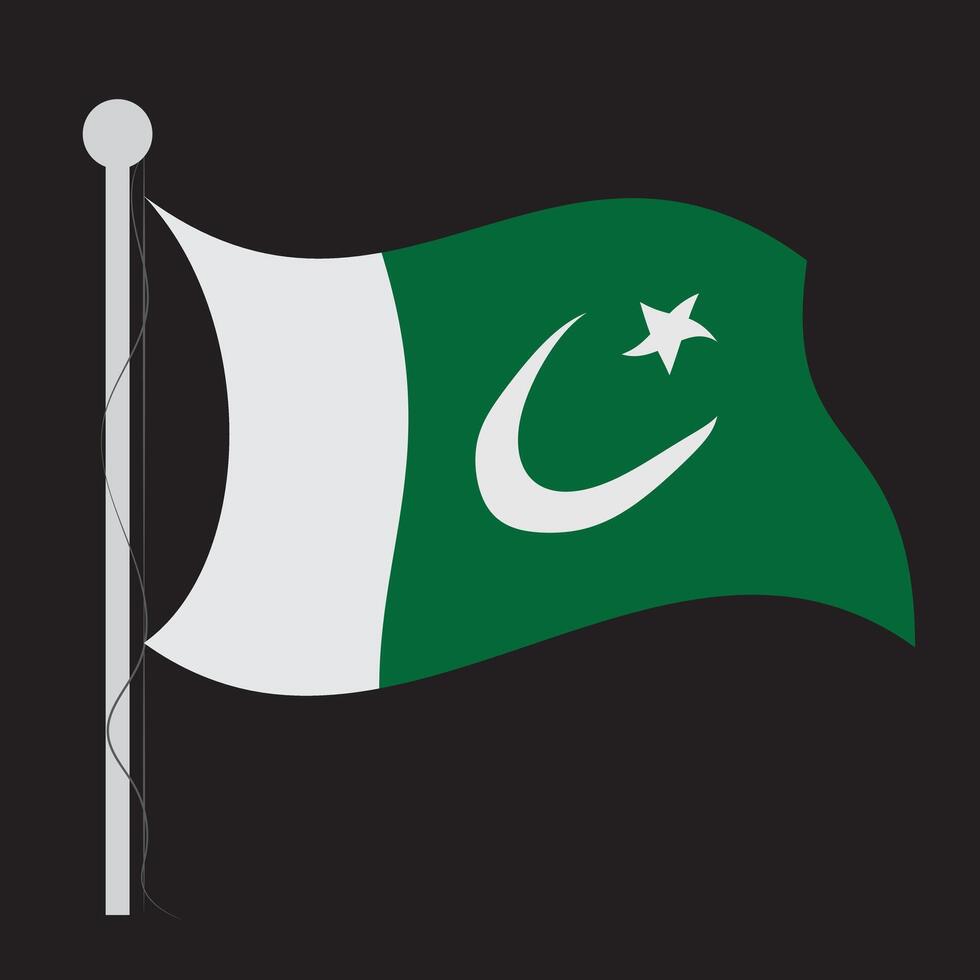 pakistan flag waving on a black background vector