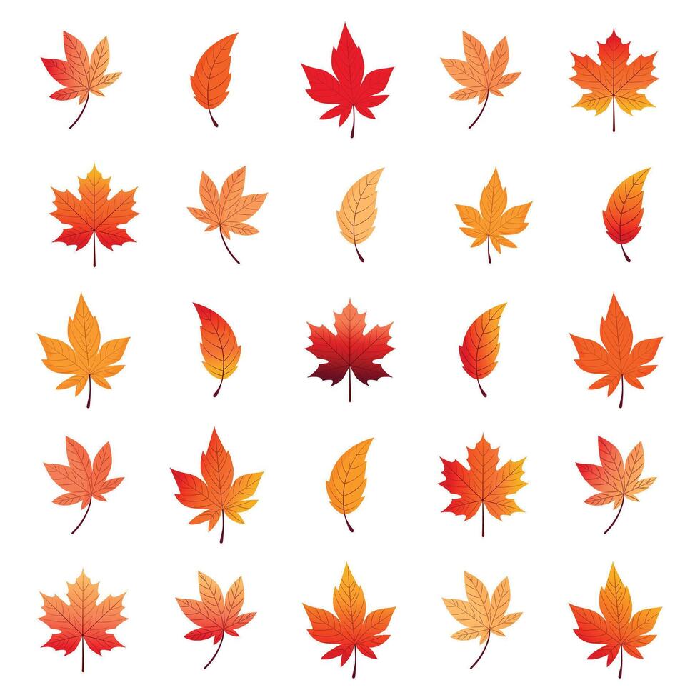 autumn leaves set isolated on white background vector