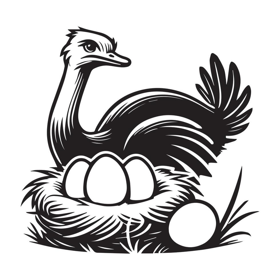 Ostrich Clipart, Struthio Bird Outline Design, Common ostrich silhouette, Flightless bird illustration in black and white vector