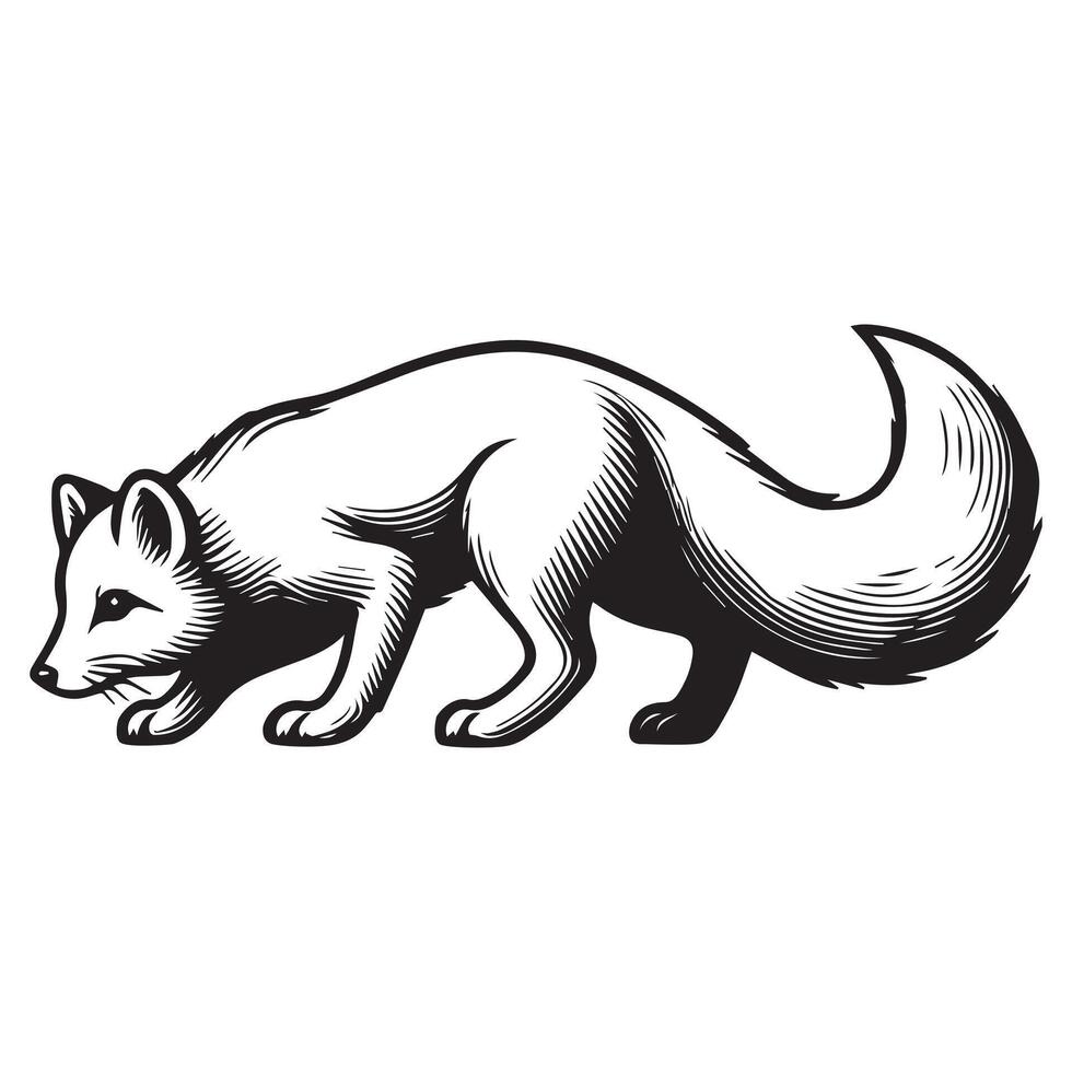 Fox Clipart, White Fox Outline Design, A Sneaking arctic fox illustration in black and white vector