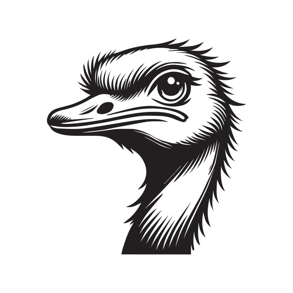 Ostrich Face Clipart, Struthio Bird Outline Design, Common ostrich silhouette, Flightless bird illustration in black and white vector